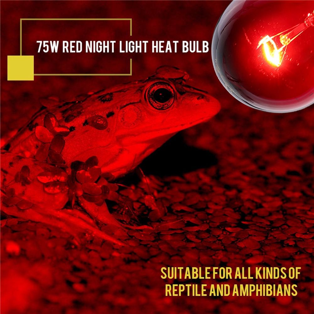 75W-Heat-Lamp-Heating-Infrared-Pet-Light-Bulb-for-Reptile-Tortoise-AC110V-1465081