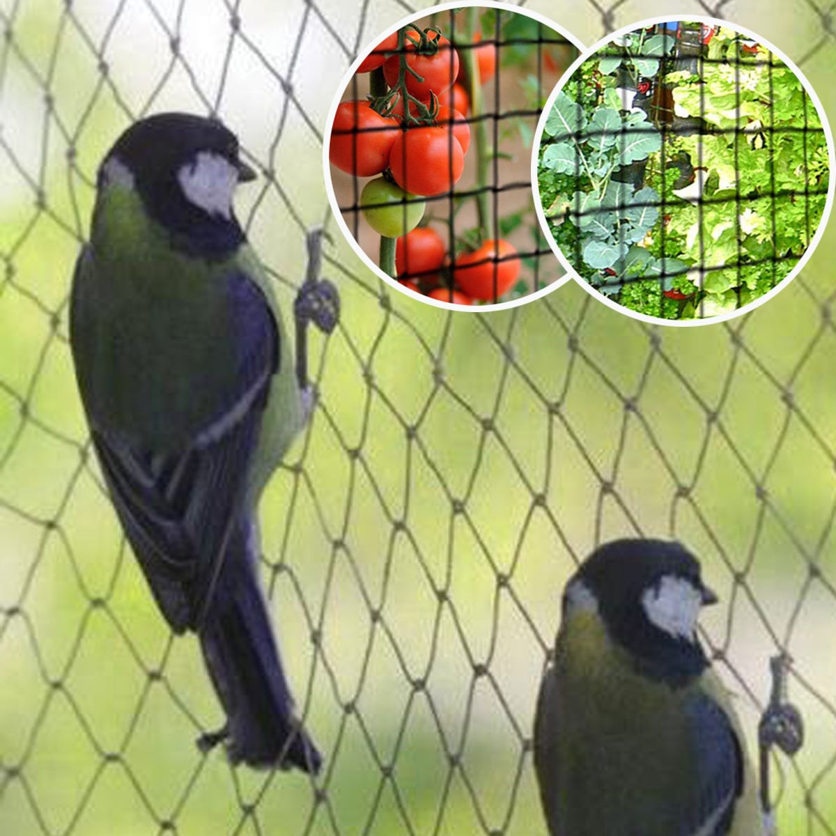 1020100m-Fruit-Crop-Plant-Knitted-Anti-Bird-Netting-Pest-Net-Prevent-Huting-Catching-2x2cm-Mesh-1341039