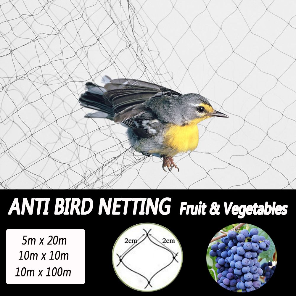 1020100m-Fruit-Crop-Plant-Knitted-Anti-Bird-Netting-Pest-Net-Prevent-Huting-Catching-2x2cm-Mesh-1341039