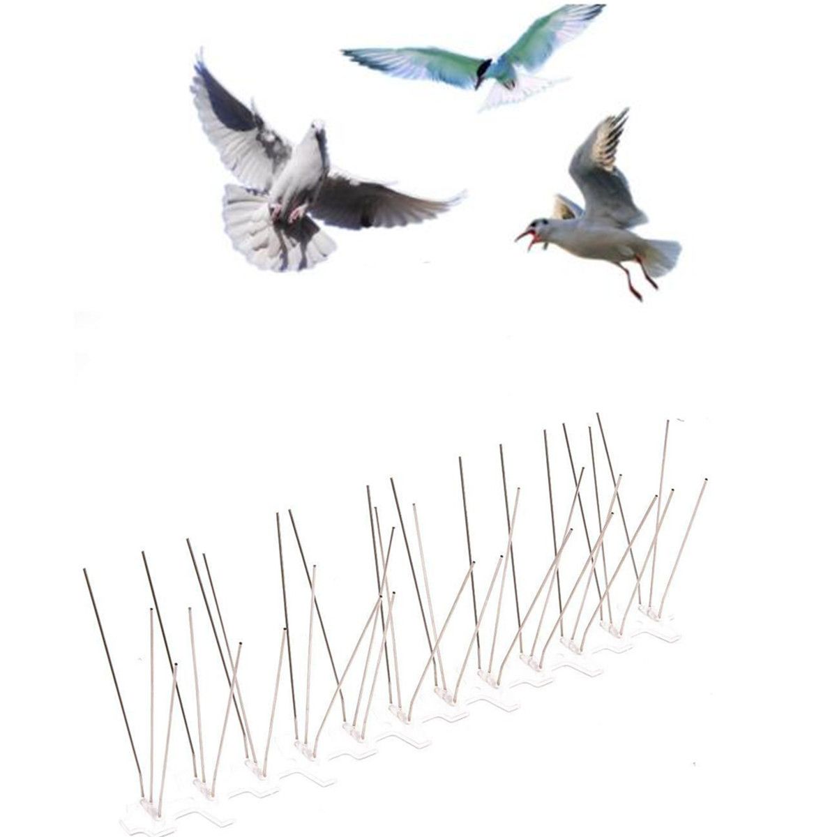 10pcs-30cm-Stainless-Steel-Bird-Spikes-Pigeon-Deterrent-Home-Gardening-Repellent-1709179