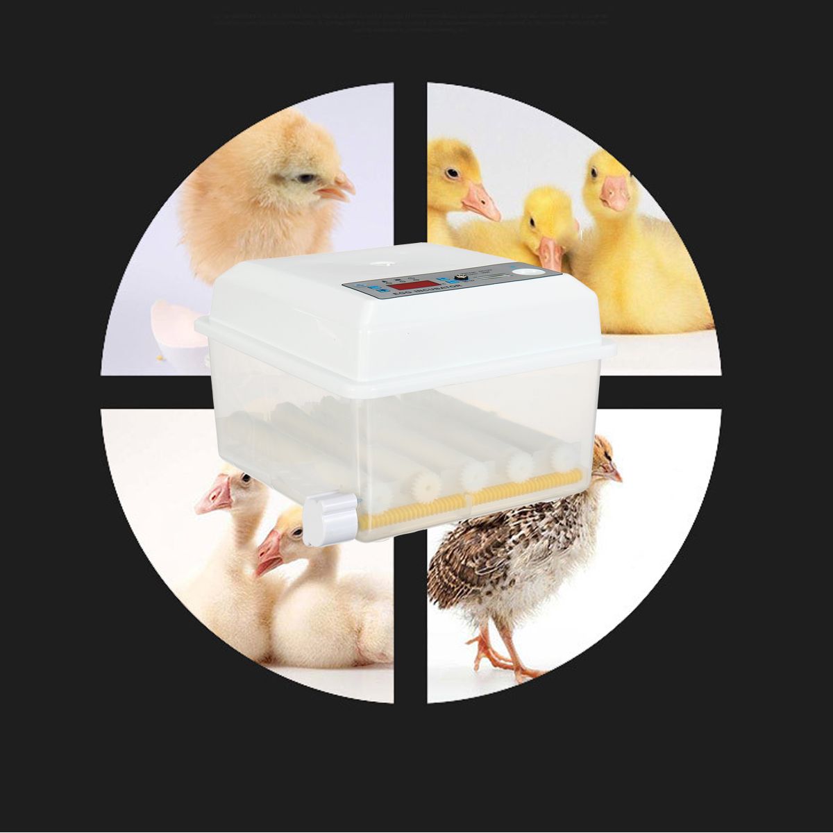16-Eggs-Egg-Incubator-Fully-Automatic-Incubators-Intelligent-Temperature-Control-Chicken-Duck-Goose--1716426