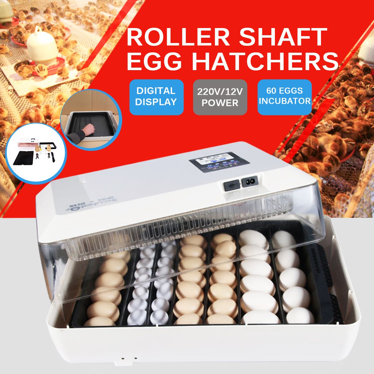 220V12V-Eggs-Incubator-60-Eggs-Automatic-Incubatores-for-Hatching-Goose-Quail-Chicken-Eggs-Egg-Hatch-1699591