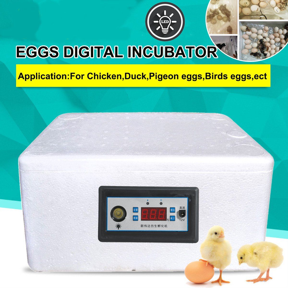 223242-Home-Farm-Digital-Egg-Incubator-Poultry-Temperature-Control-Chicke-Hatcher-1743030