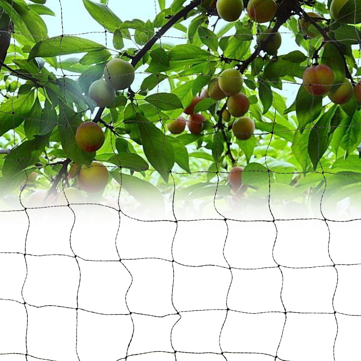 3-Size-Black-Anti-Bird-Net-Rabbits-Netting-15mm-Mesh-Veg-Crops-Plant-Protection-Net-1387421