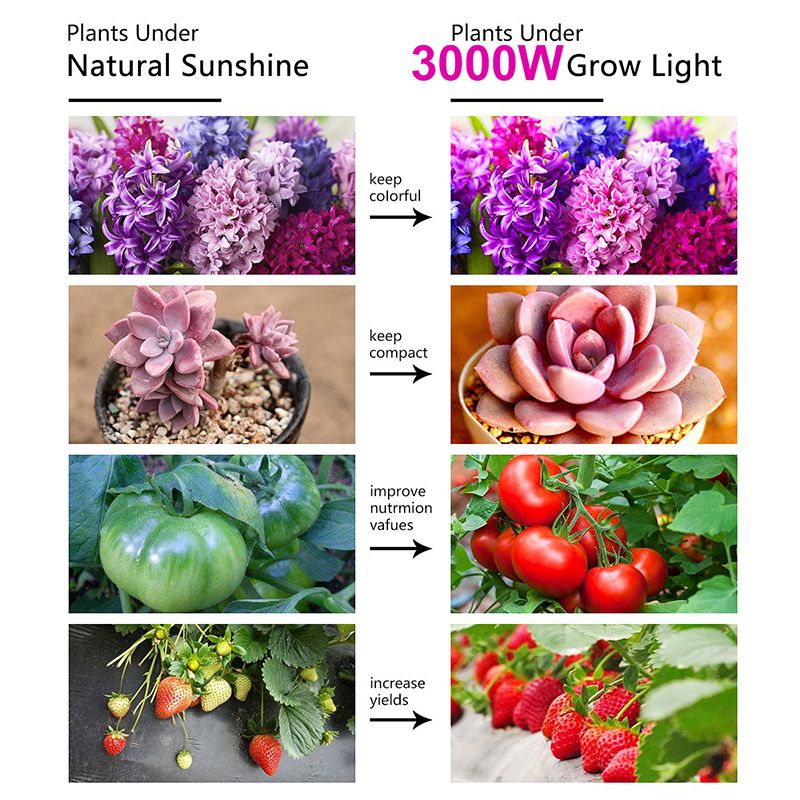 3000W-LED-Grow-Light-13000-Lumens-Plant-Flower-Full-Spectrum-Veg-Flower-Greenhouse-Lamp-1727644