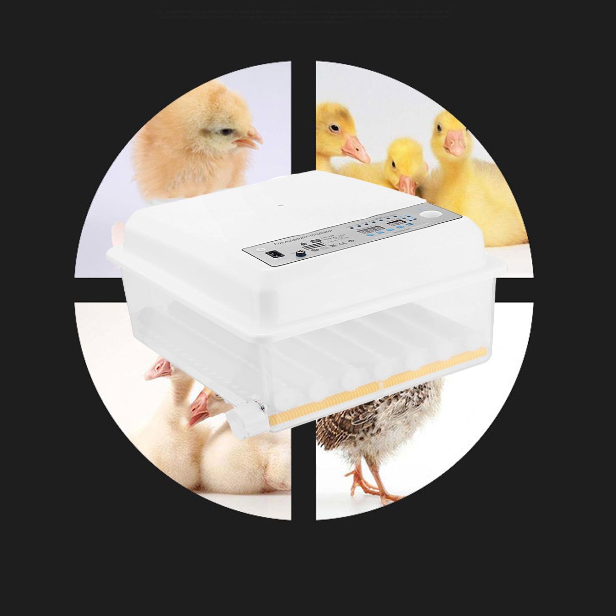 36-Eggs-Chicken-Automatic-Digital-Egg-Incubator-Hatchers-Temperature-Control-1718978