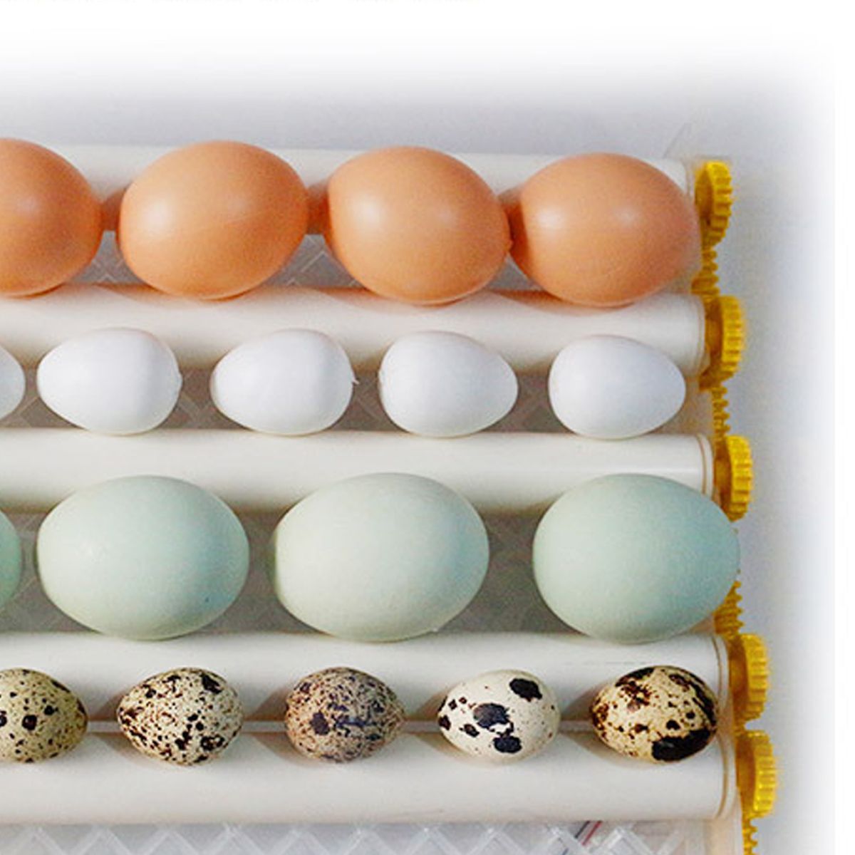 36-Eggs-Chicken-Automatic-Digital-Egg-Incubator-Hatchers-Temperature-Control-1718978