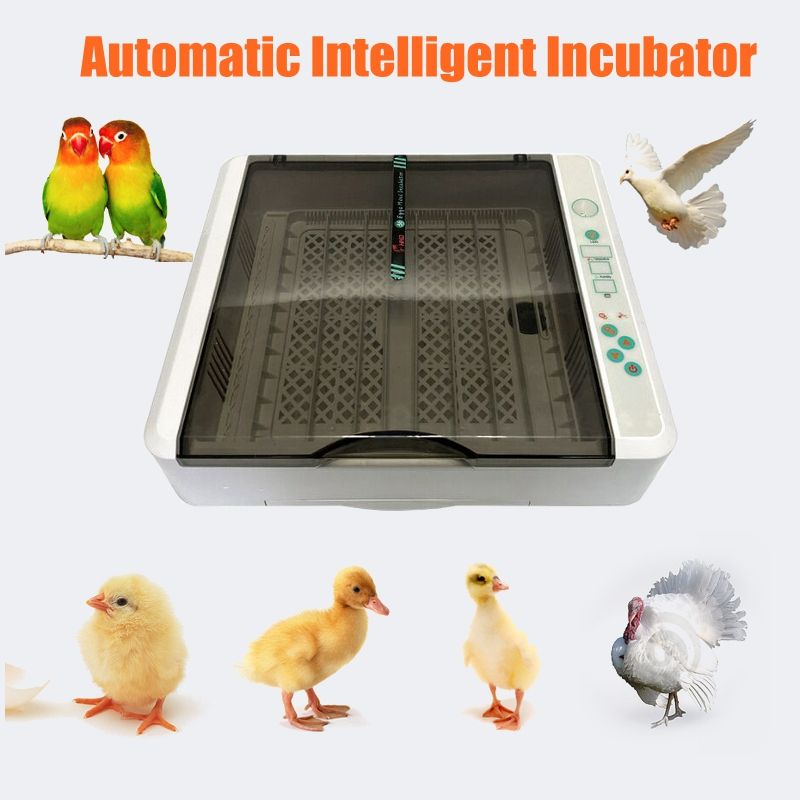 36-Eggs-LCD-Digital-Automatic-Poultry-Incubator-Chicken-Auto-Turning-Hatcher-1710628