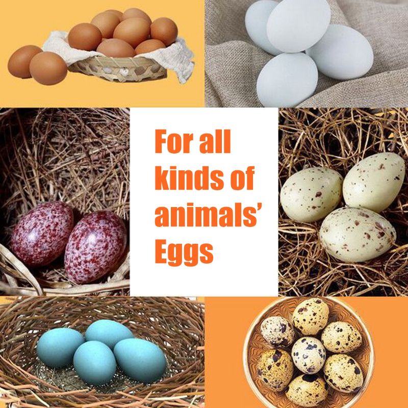 36-Eggs-LCD-Digital-Automatic-Poultry-Incubator-Chicken-Auto-Turning-Hatcher-1710628