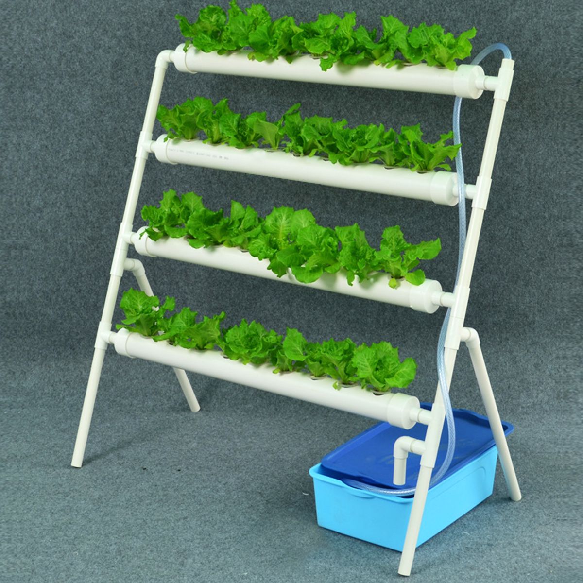 36-Site-Holes-Plant-Hydroponic-System-Water-Culture-Grow-Kit-Garden-Vegetables-Planting-Frame-1717515