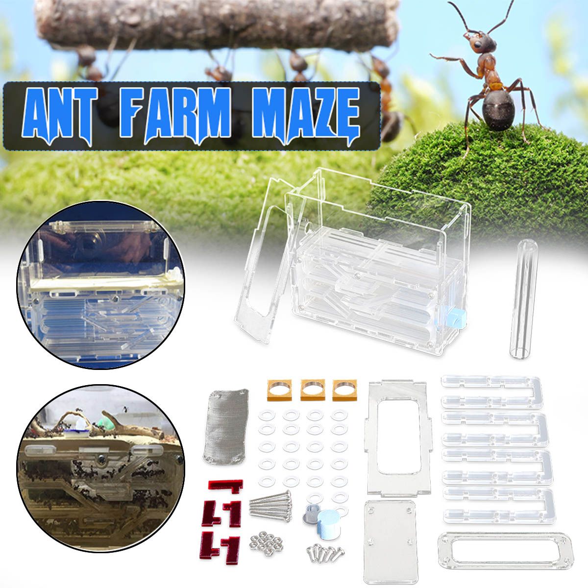 3D-Ant-Farm-Maze-Earth-Nest-Formicarium-Housing-DIY-Ant-Farm-House-Display-Box-For-Ant-Colony-1400543