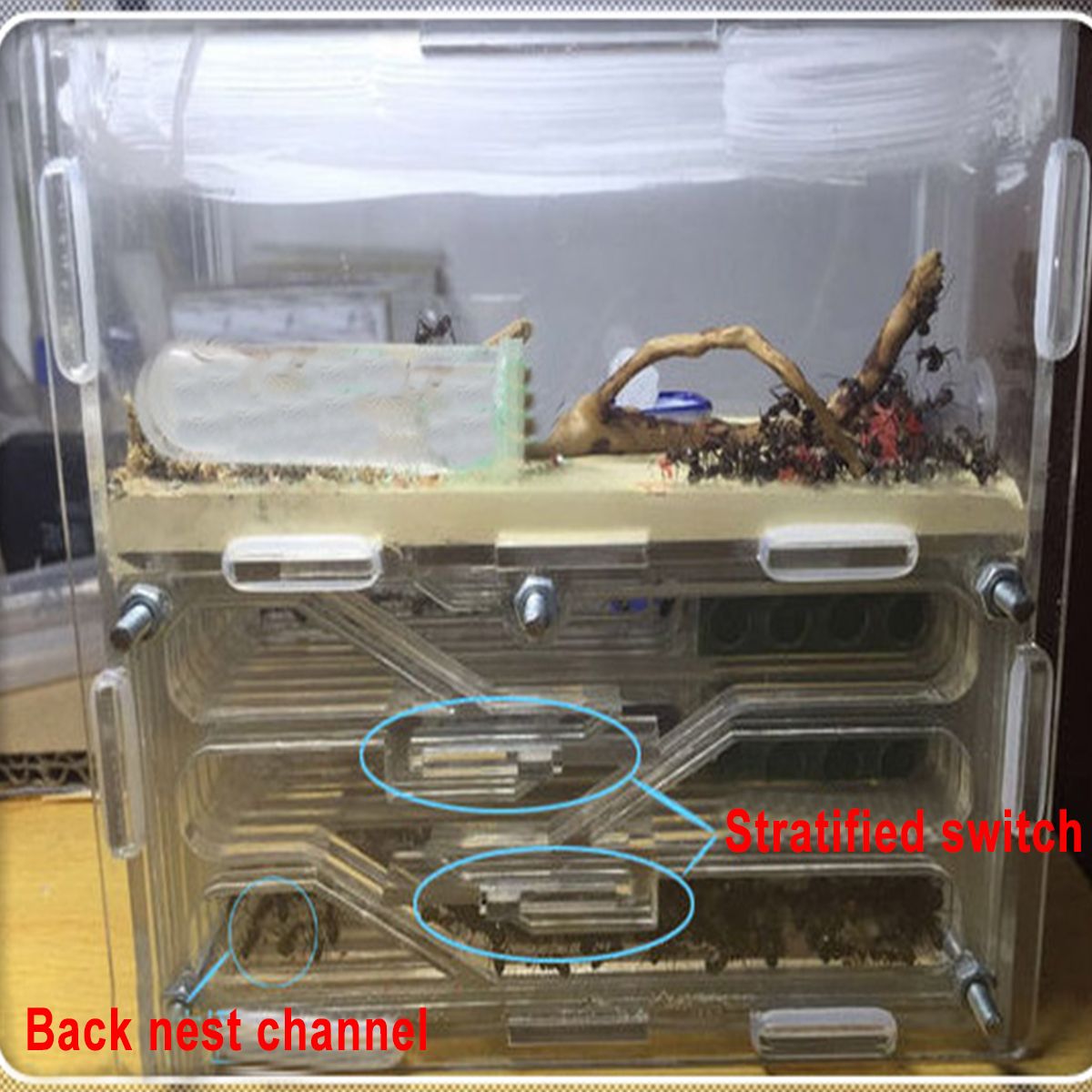 3D-Ant-Farm-Maze-Earth-Nest-Formicarium-Housing-DIY-Ant-Farm-House-Display-Box-For-Ant-Colony-1400543