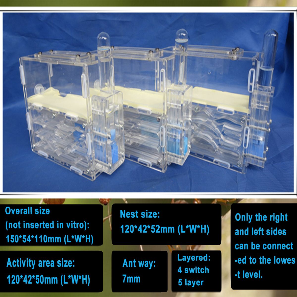 3D-Ant-Farm-Maze-Earth-Nest-Formicarium-Housing-DIY-Ant-Farm-House-Display-Box-For-Ant-Colony-1400543