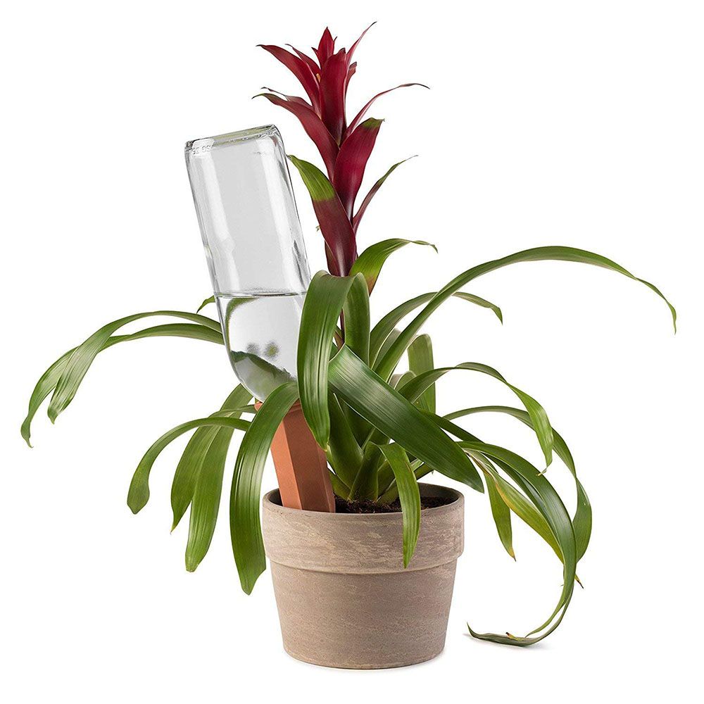 4PcsSet-Modern-Terracotta-Clay-Plant-Watering-Stakes-Automatic-Watering-Spikes-Long-Neck-Bottle-Wate-1551889