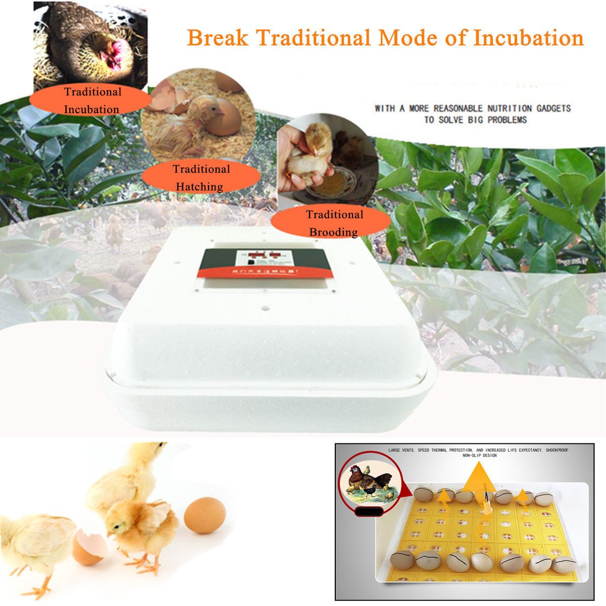 55-Position-Egg-Incubator-110V-240V-Automatic-Poultry-Hatcher-1290508