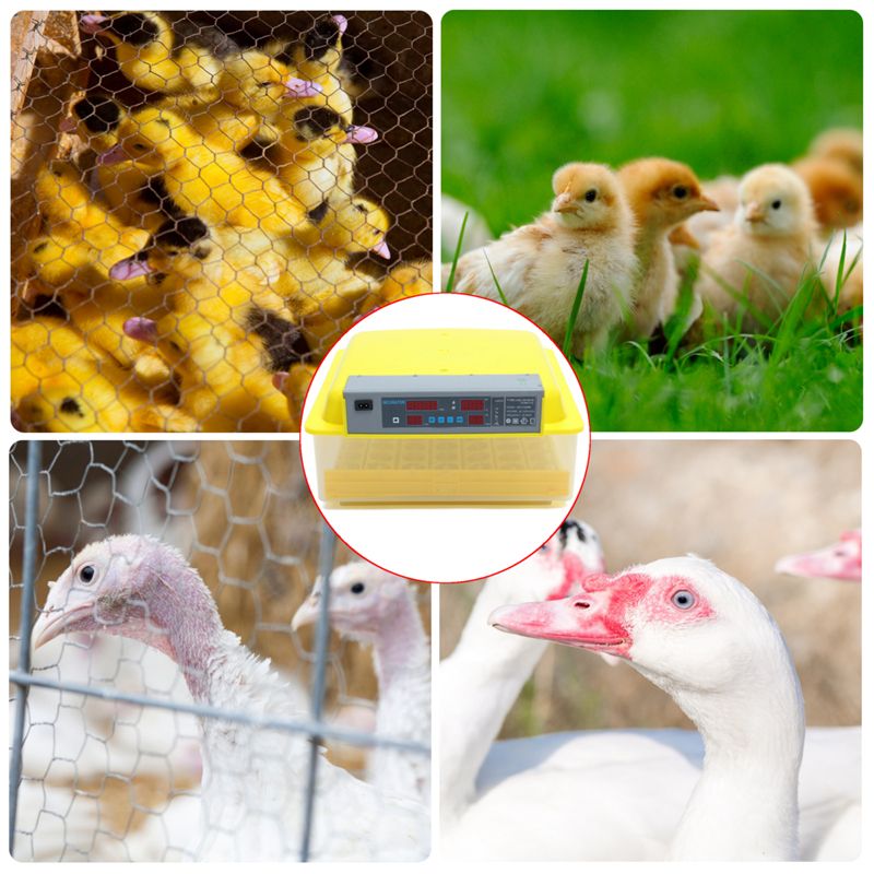 56-Automatic-Egg-Incubator-Digital-Hatching-Poultry-Chicken-Temperature-Control-USEUUK-Plug-1287218