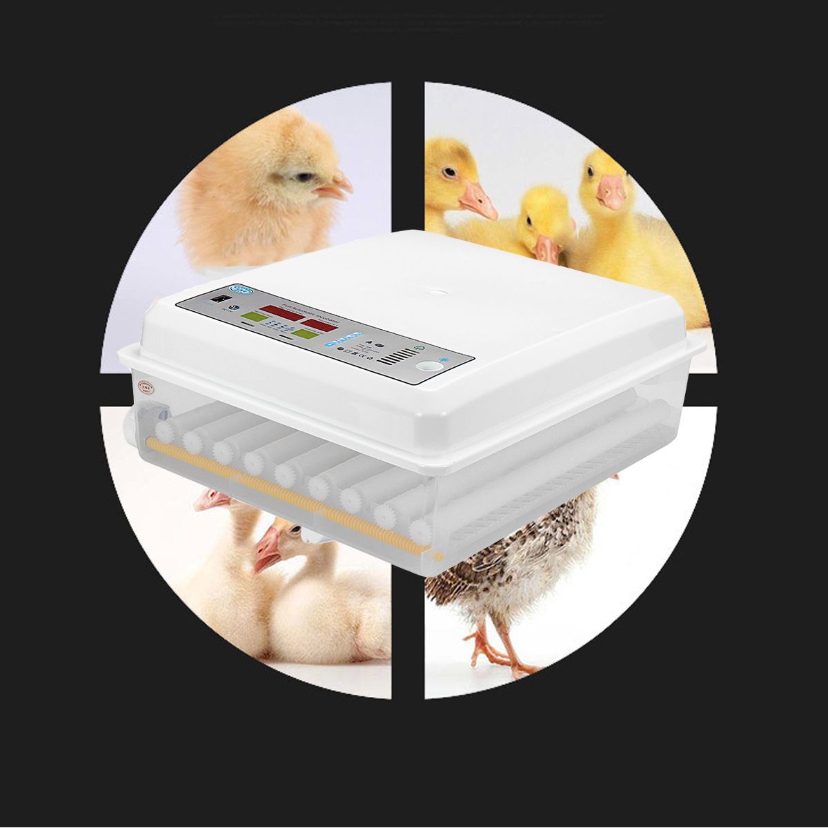 64-Eggs-Chicken-Automatic-Digital-Egg-Incubator-Hatchers-Temperature-Control-1717453