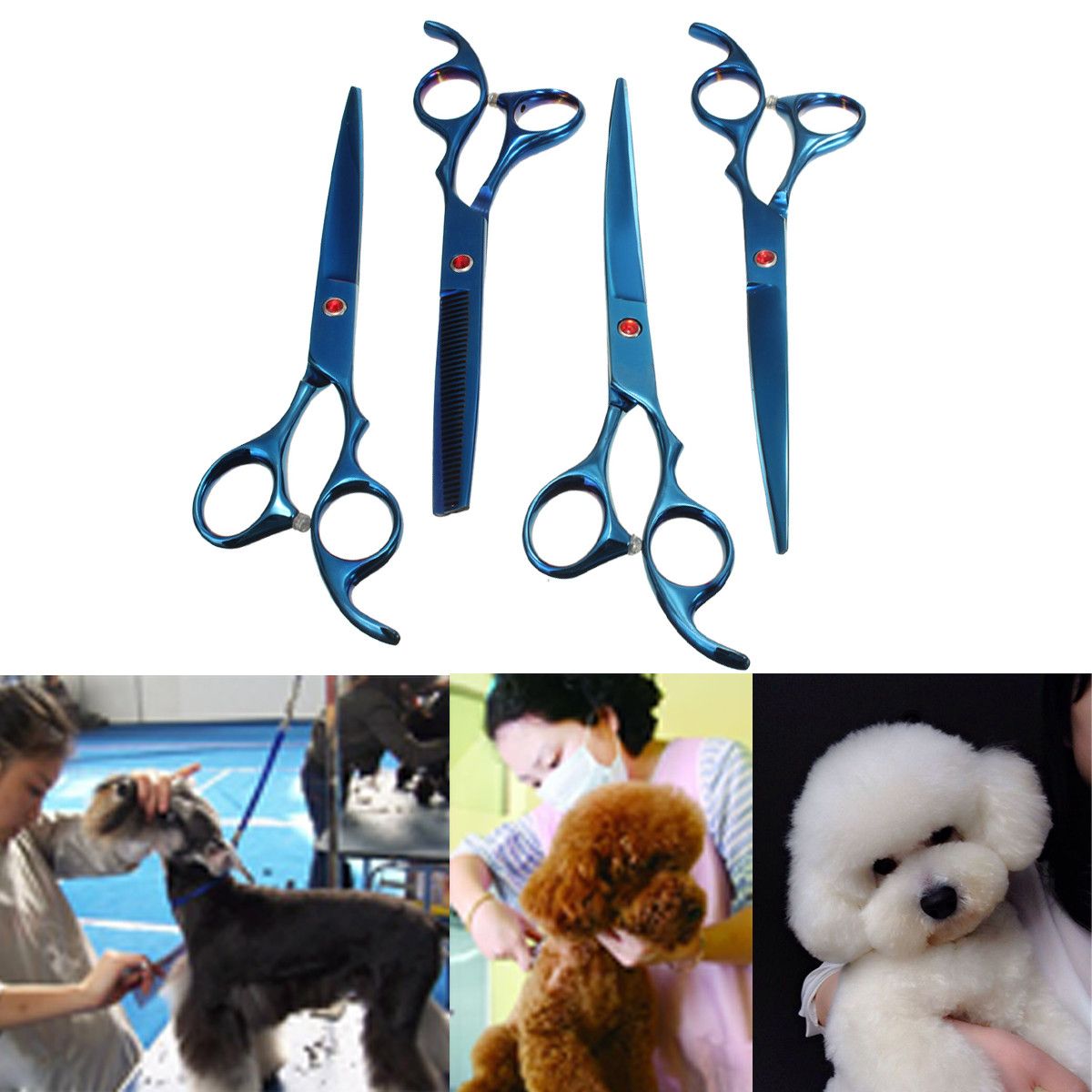 6Pcs-Set-PetT-Dog-Hair-Cutting-Plating-Scissors-Grooming-set-Curved-Professional-Hair-Scissors-Tool-1260131