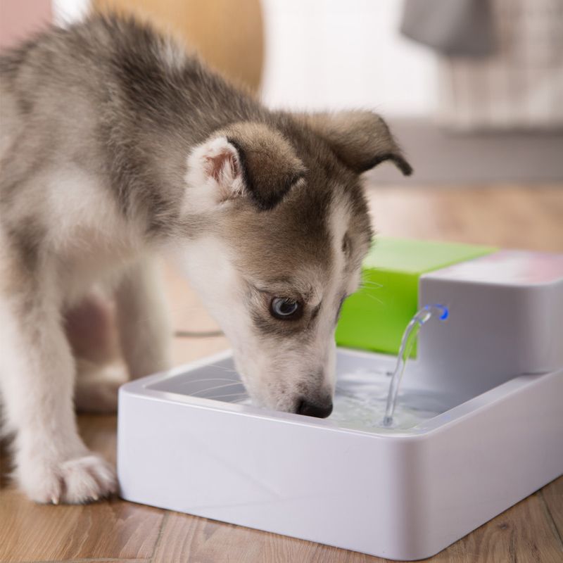 Automatic-Pet-Water-Fountain-Dog-Cat-Water-Filter-Bowl-1604282