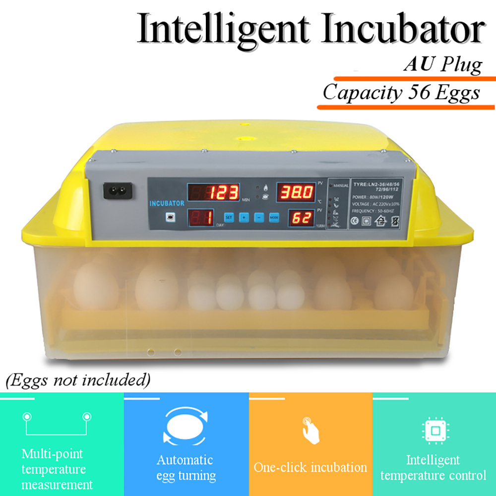 Digital-56-Egg-Incubator-Hatcher-Bird-Chicken-Duck-Automatic-Turning-Temperature-1647965