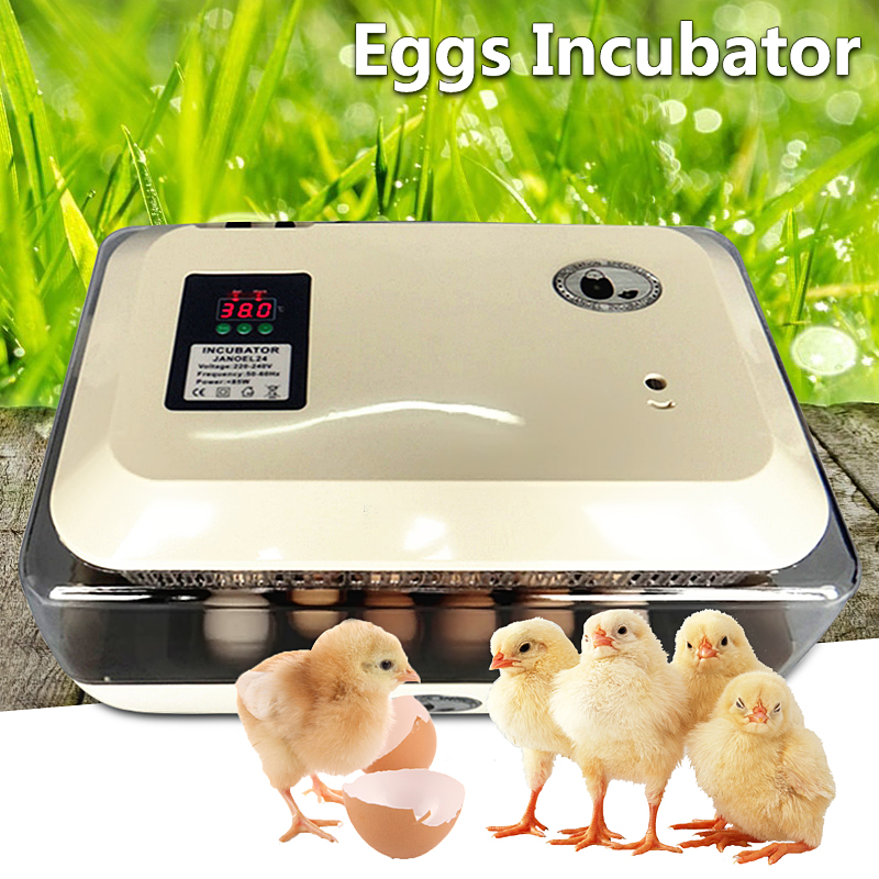 Egg-Incubator-Incubator-Hatcher-24-Digital-Fully-Automatic-Clear-Egg-Turning-Incubator-Hatcher-Tempe-1359922