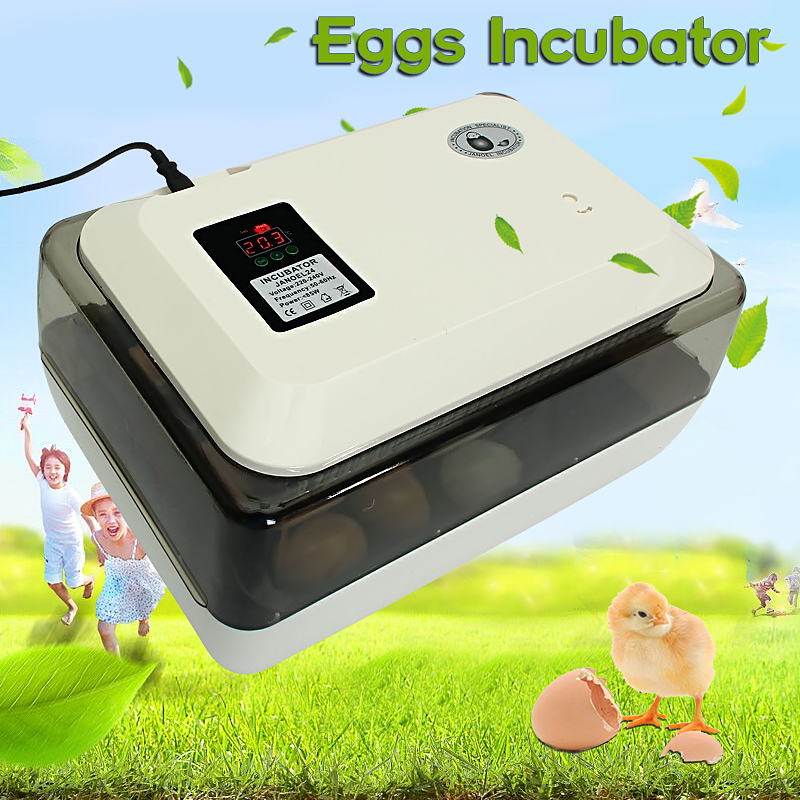 Egg-Incubator-Incubator-Hatcher-24-Digital-Fully-Automatic-Clear-Egg-Turning-Incubator-Hatcher-Tempe-1359922