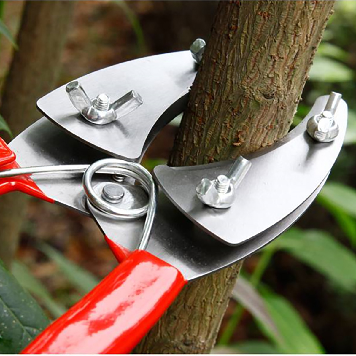 Garden-Grafting-Cut-Tool-Kit-Fruit-Tree-Stainless-Steel-Pruning-Shears-Scissor-1614728