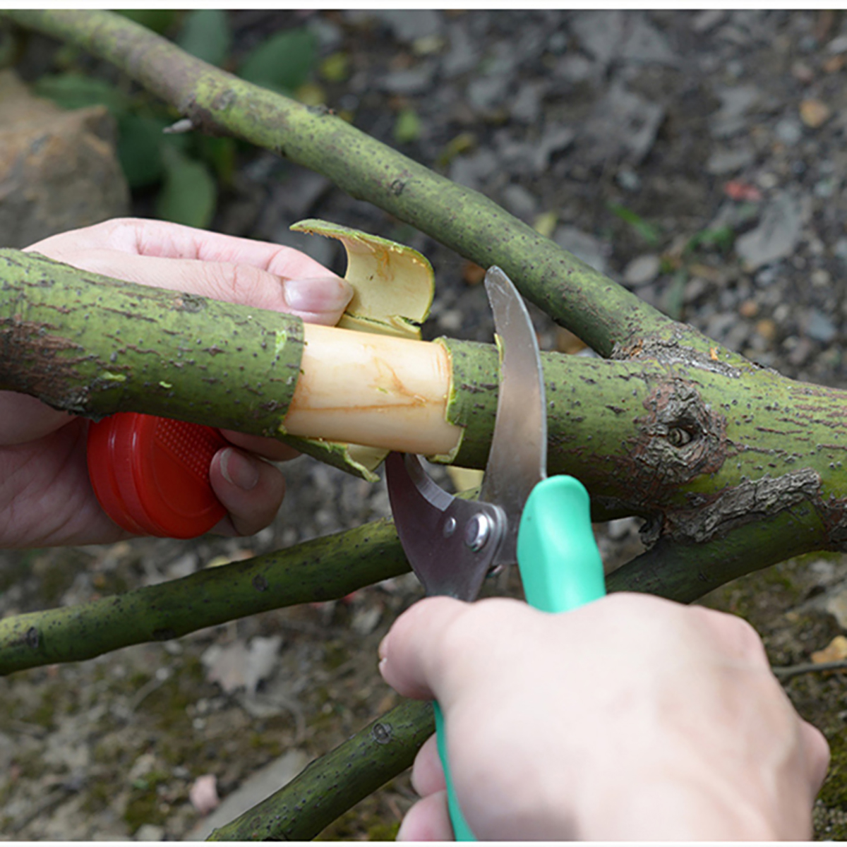 Garden-Grafting-Cut-Tool-Kit-Fruit-Tree-Stainless-Steel-Pruning-Shears-Scissor-1614728