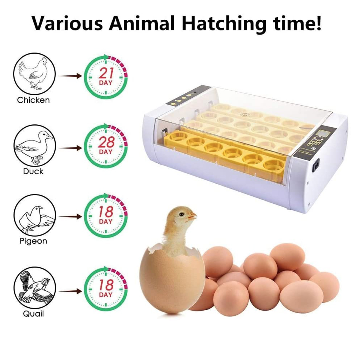 Home-Farm-Digital-24-Egg-Incubator-Automatic-Eggs-Hatcher-Temperature-Control-1762517