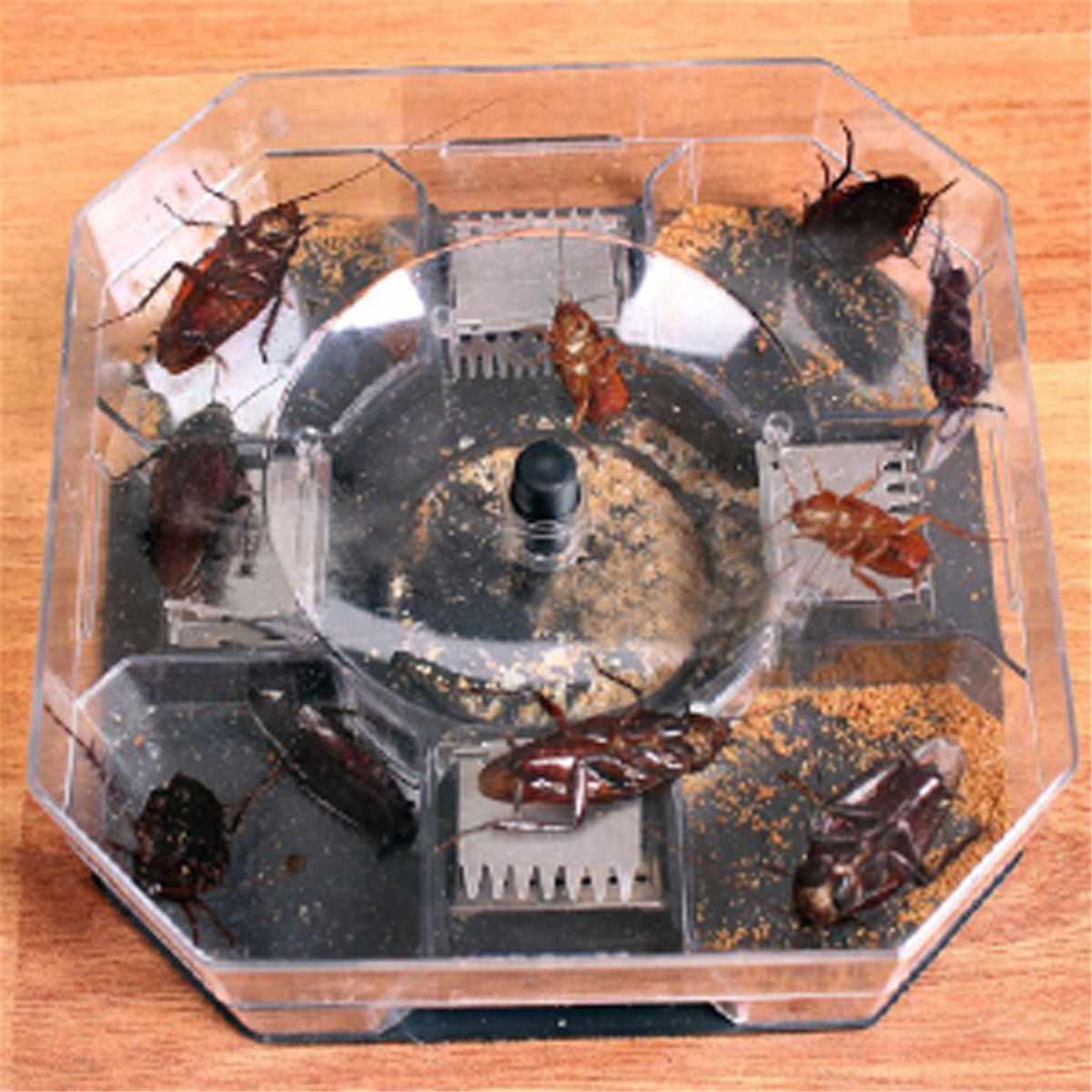 Large-Cockroach-Lizard-Insect-Trap-Killer-ECO-Non-Poison-Reusable-Catcher-Box-Snail-Slug-Trapper-1351784