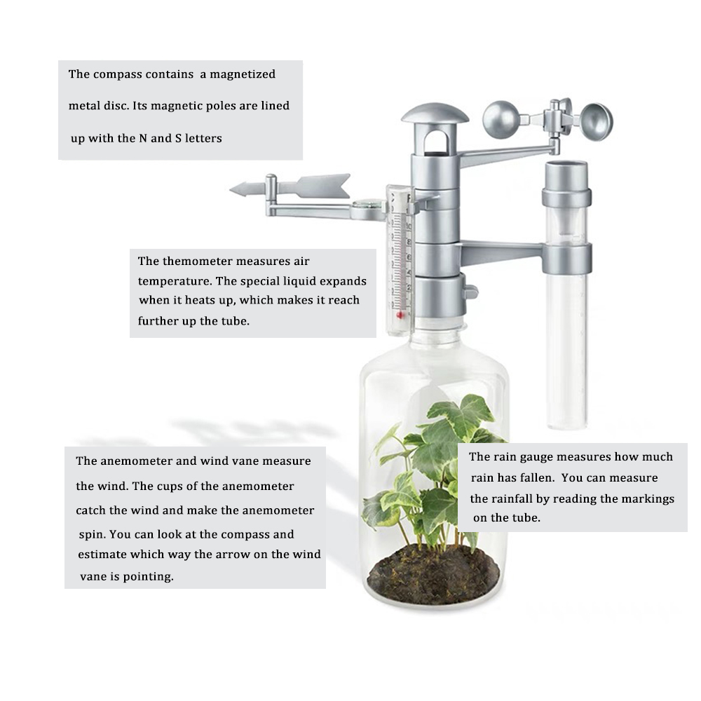 Weather-Station-Wind-Rainfall-Temperature-Observe-Measure-Record-Educational-Science-Toy-Experiment-1463906