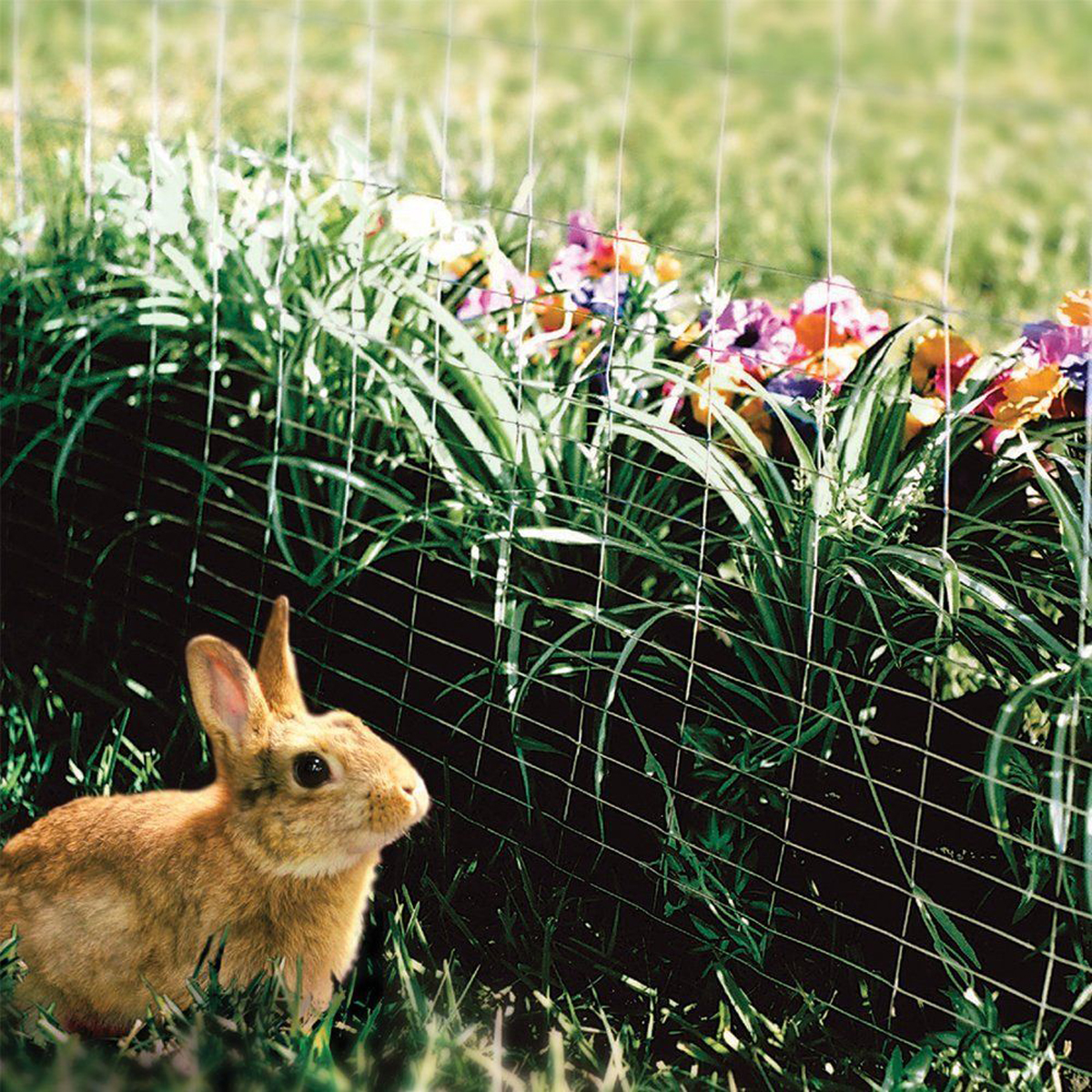 Welded-Galvanised-Wire-Mesh-Fence-1x1-Inch-Aviary-Rabbit-Hutch-Chicken-Coop-Pet-1403161