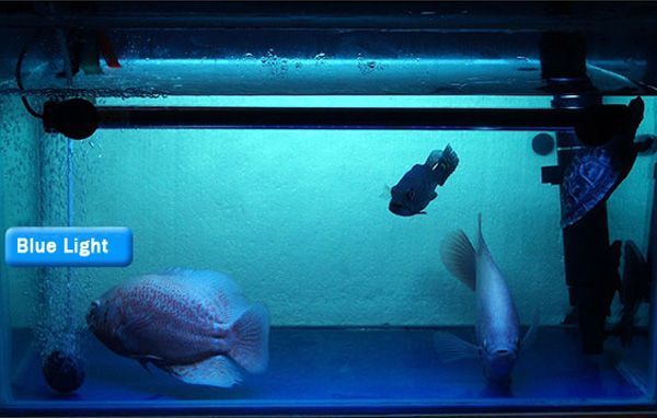 18CM-Aquarium-Fish-Tank-Waterproof-LED-Light-Bar-Submersible-927279