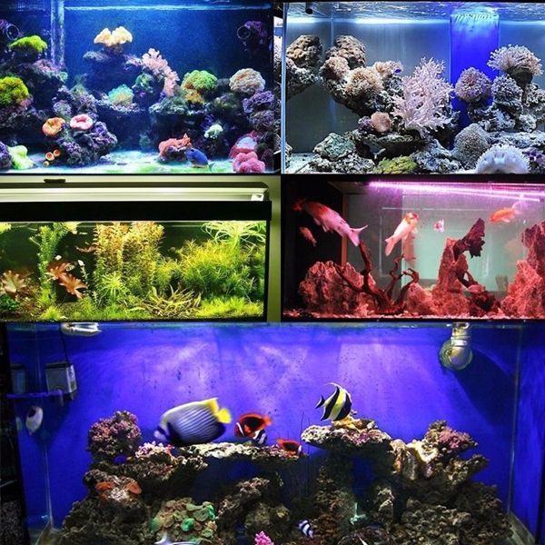 25CM-RGB-SMD5050-Rigid-LED-Strip-Light-Air-Bubble-Aquarium-Fish-Tank-Lamp--Remote-Control-AC220V-1120773