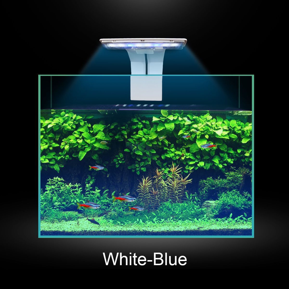 5W-LED-Aquarium-Light-Fish-Tank-Aquatic-Plant-Grow-Lamp-Decoration-110V220V-1727432