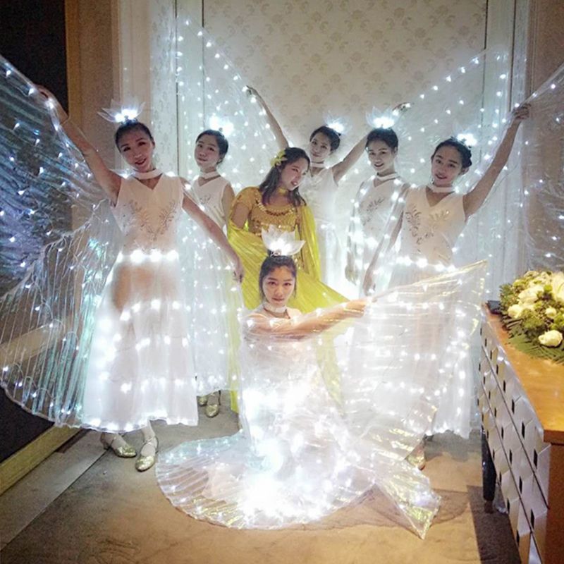 LED-Isis-Wings-Night-Light-Glow-Up-Lamp-Costume-Belly-Dance-Egyptian-Club-Show-With-Stick-1628769