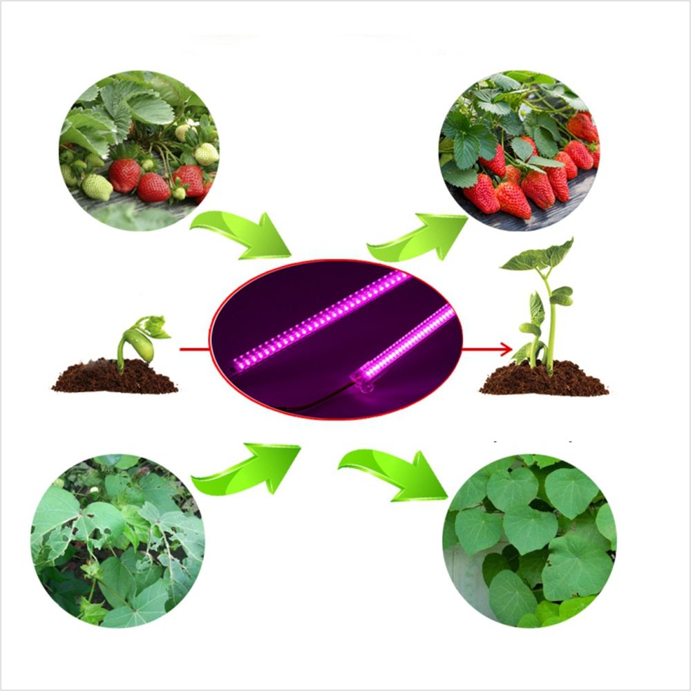 5PCS-30CM50CM-7W-Full-Spectrum-LED-Rigid-Grow-Light-Transparent-Shell-Plant-Lamp-for-Greenhouses-Flo-1740754