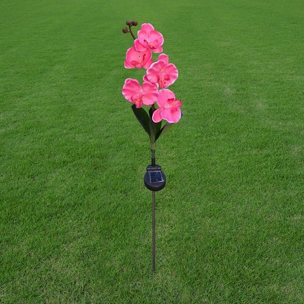 Solar-Power-5-LED-Flower-Light-Outdoor-Garden-Yard-Lawn-Landscape-Lamp-Decor-1138048