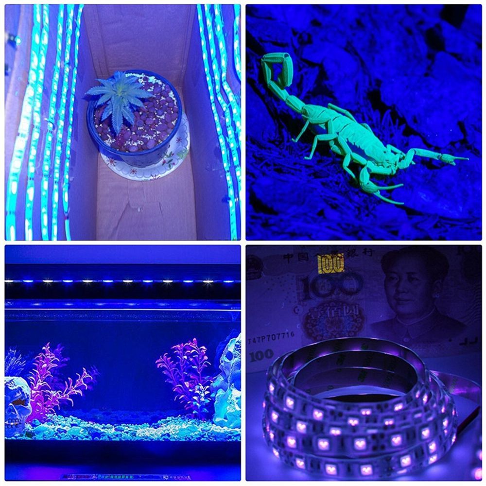 5M-36W-3528SMD-Waterproof-Flexible-Purple-300-LED-Strip-Light-with-DC-Connector-DC12V-1309473