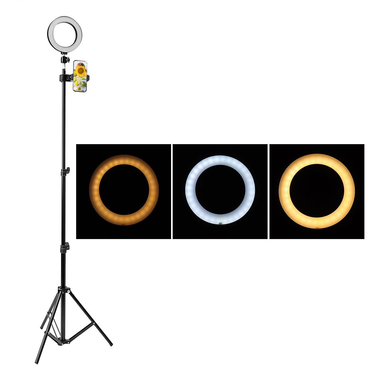 16cm-LED-Video-Ring-Light-5500K-Dimmable-with-160cm-Adjustable-Light-Stand-for-Youtube-Tiktok-Live-S-1403937