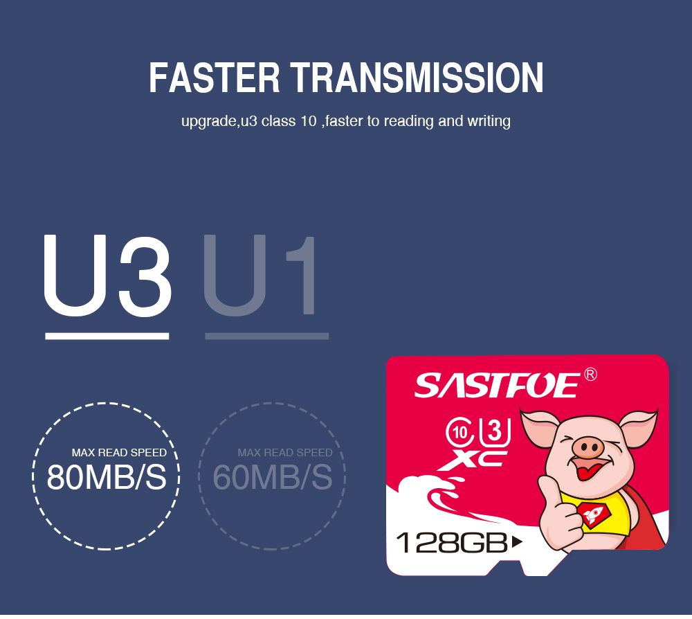 SASTFOE-Year-of-the-Pig-Limited-Edition-U1-32GB-TF-Memory-Card-1582013