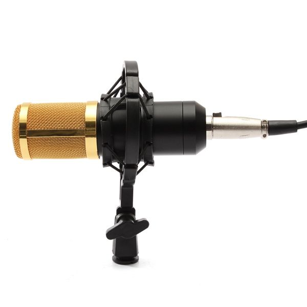 BM800-Recording-Dynamic-Condenser-Microphone-with-Shock-Mount-940257