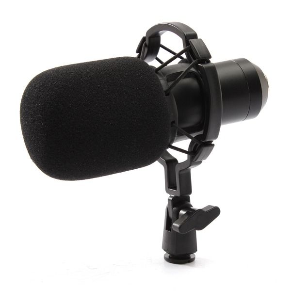 BM800-Recording-Dynamic-Condenser-Microphone-with-Shock-Mount-940257