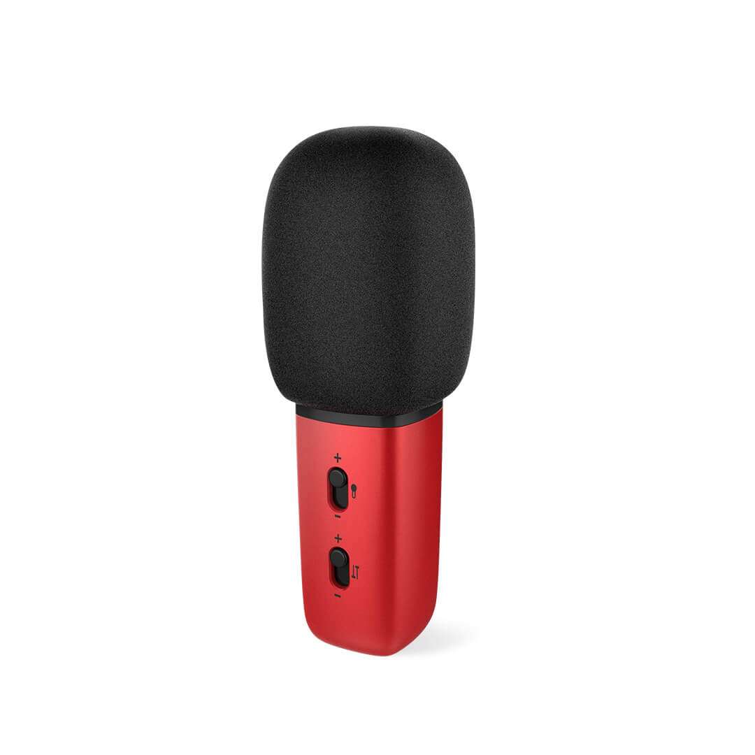 Capacitive-Intelligent-Noise-Reduction-Microphone-Heart-shaped-Microphones-1547947