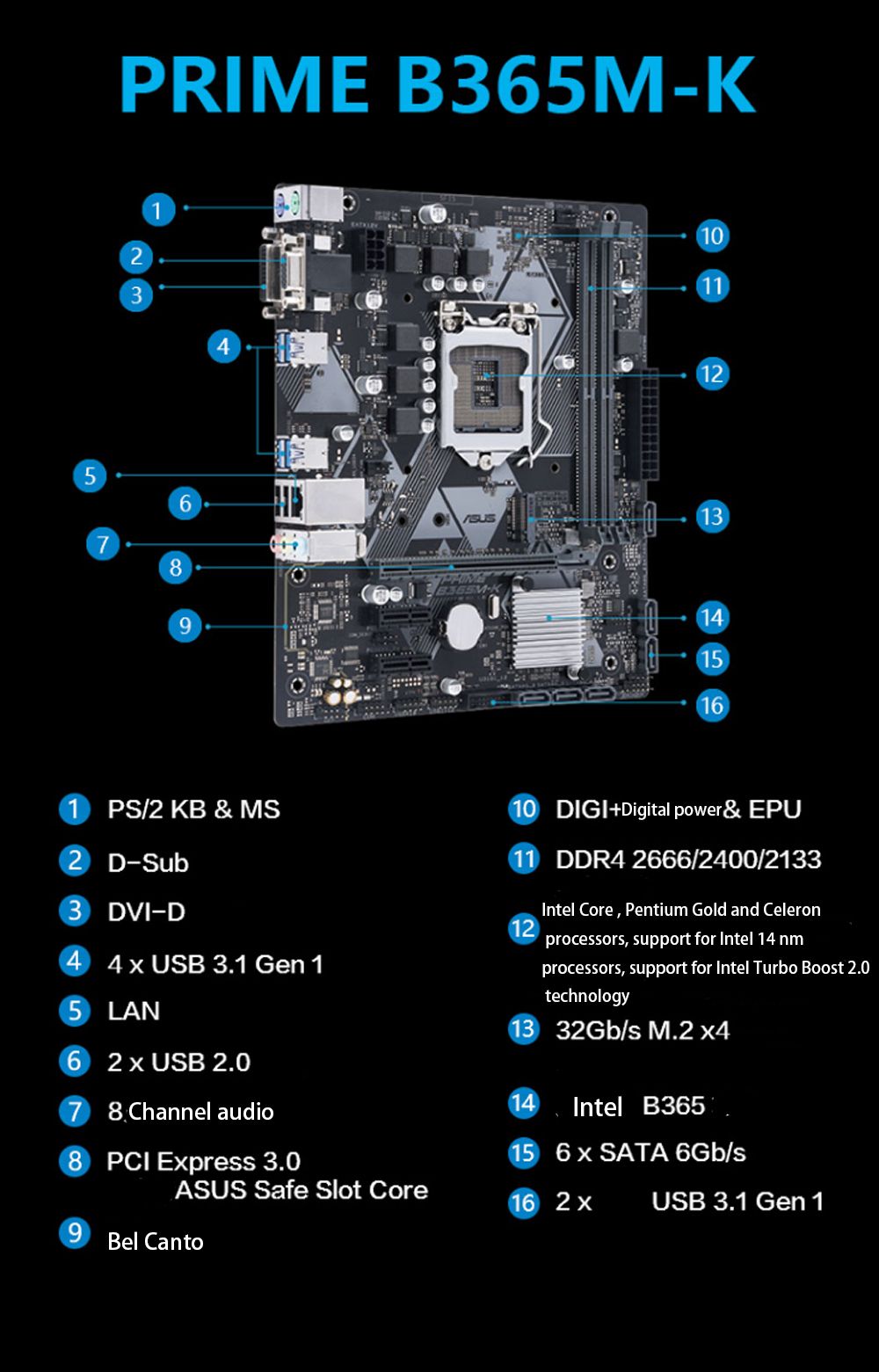 ASUS-PRIME-B365M-K-Intelreg-B365-Chip-mATX-Motherboard-32GB-DDR4-Mainboard-for-LGA-1151-1605245