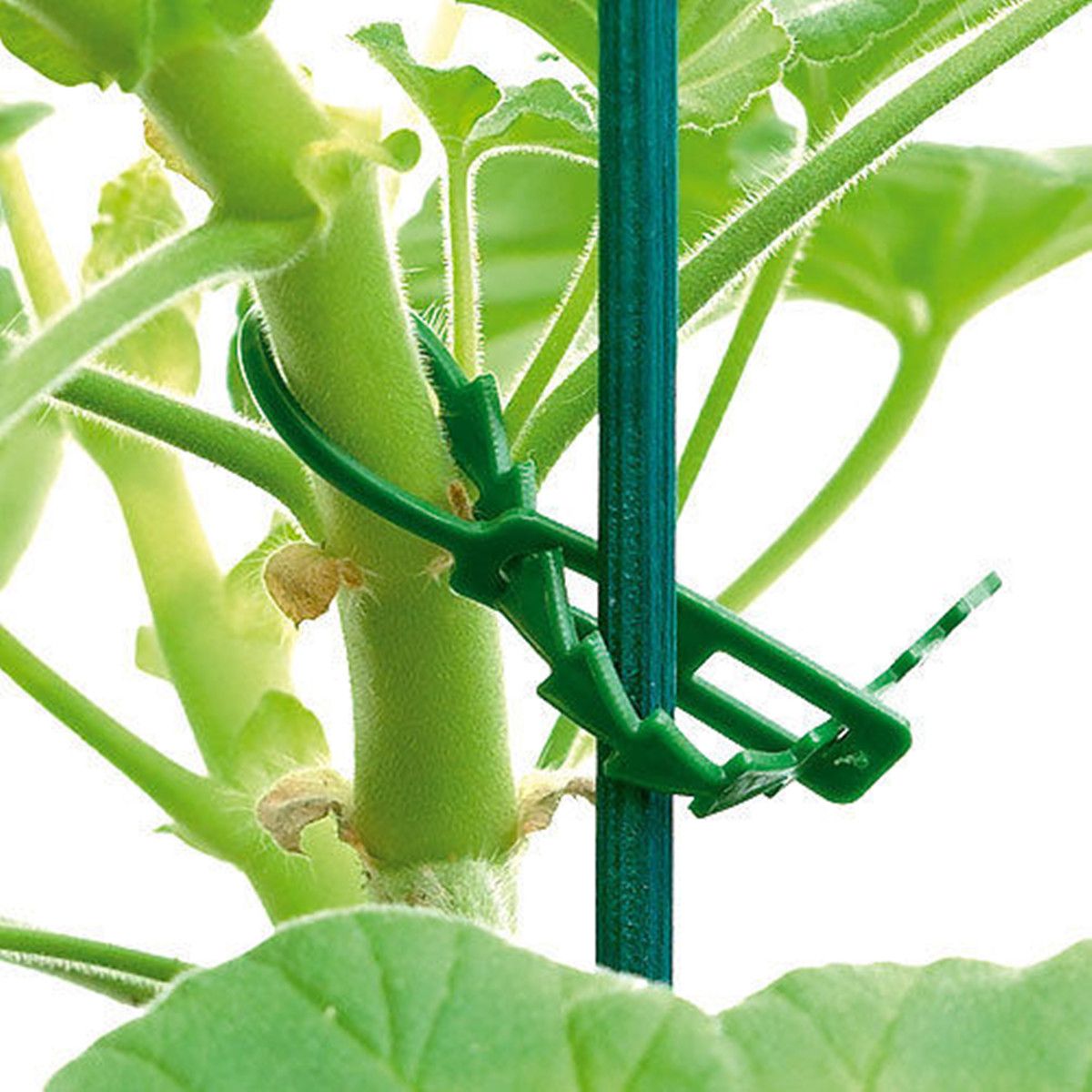 50Pcs-Reusable-Garden-Plastic-Plant-Cable-Ties-Straps-Adjustable-Tree-Climbing-Support-1172899