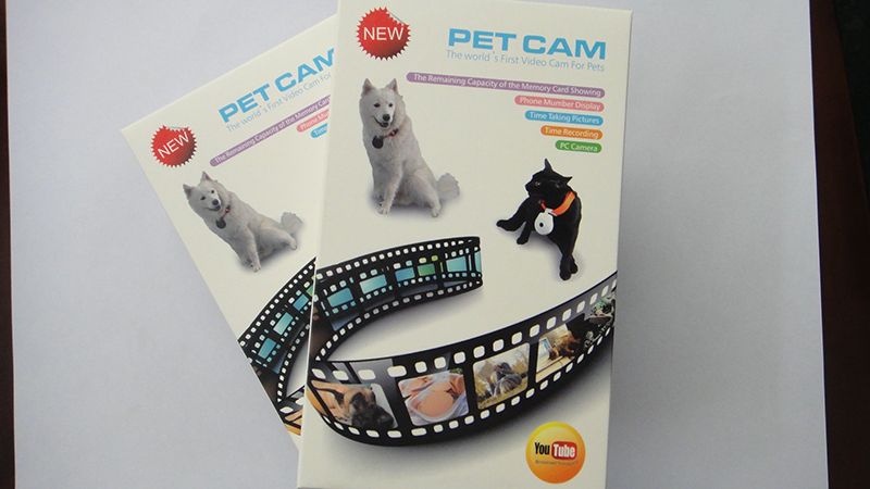 480P-Black-Dog-Cat-Puppy-Pet-Mini-Camera-Outdoor-Sport-Video-Recorder-Camcorder-1265105