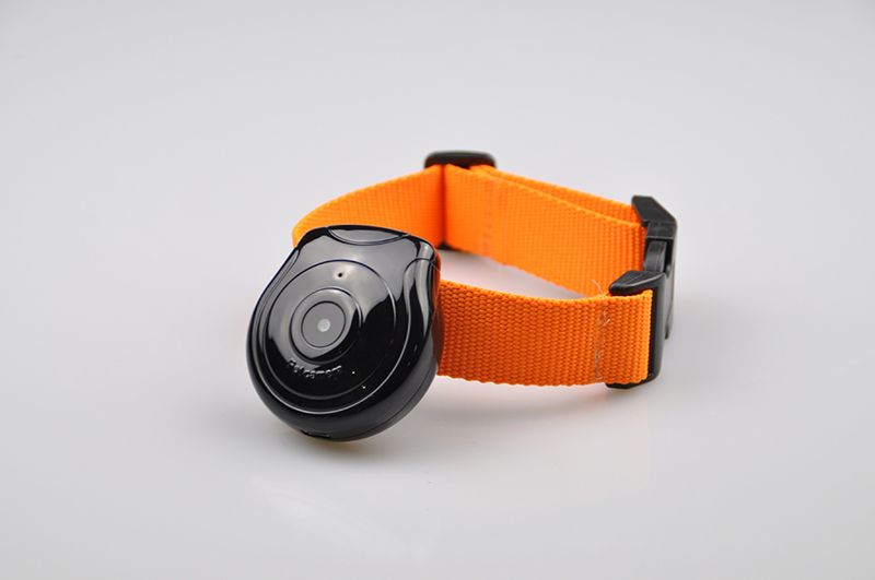 480P-Black-Dog-Cat-Puppy-Pet-Mini-Camera-Outdoor-Sport-Video-Recorder-Camcorder-1265105