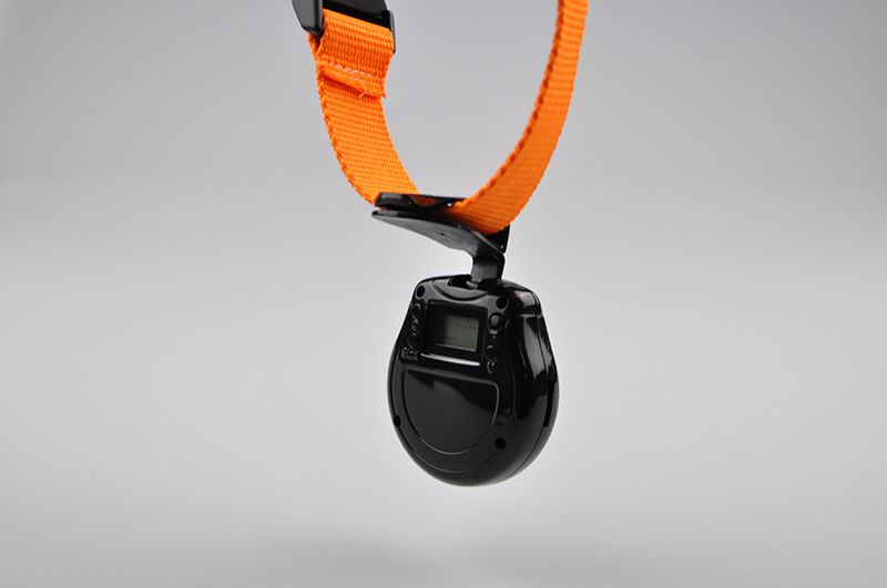480P-Black-Dog-Cat-Puppy-Pet-Mini-Camera-Outdoor-Sport-Video-Recorder-Camcorder-1265105