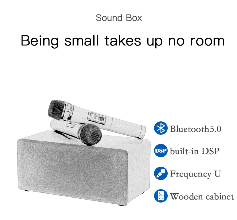 N-S10-50W-bluetooth-50-Speaker-Wireless-UHF-Microphone-DSP-Audio-Living-Room-Home-Theater-KTV-Microp-1748587